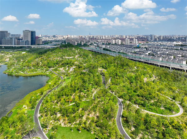 1736732527184212.png Ë«×Óɽ2.png